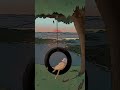 🌿 Relax & Unwind ✨ Peaceful Music for Pure Relaxation 🎶