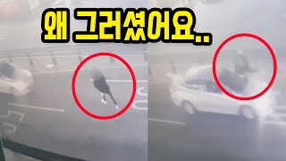 9987회. 술 취한 여성과 사고 났습니다.. 보험사에서 블박차에게 50% 잘못이 있다고 하길래 따지니까 과실을 줄여주네요..