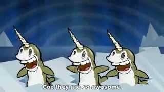 Video thumbnail of "The Narwhals"