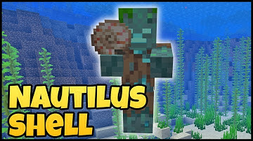 Where To Find NAUTILUS SHELL In MINECRAFT