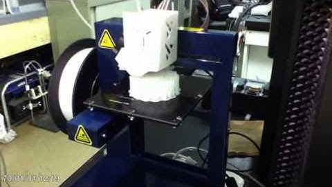 first flagella motor