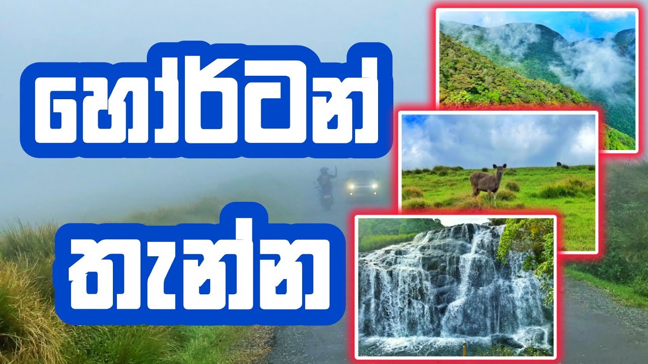 Horton plains national park | හෝර්ටන් තැන්න | Vijitha Bandara Vlogs