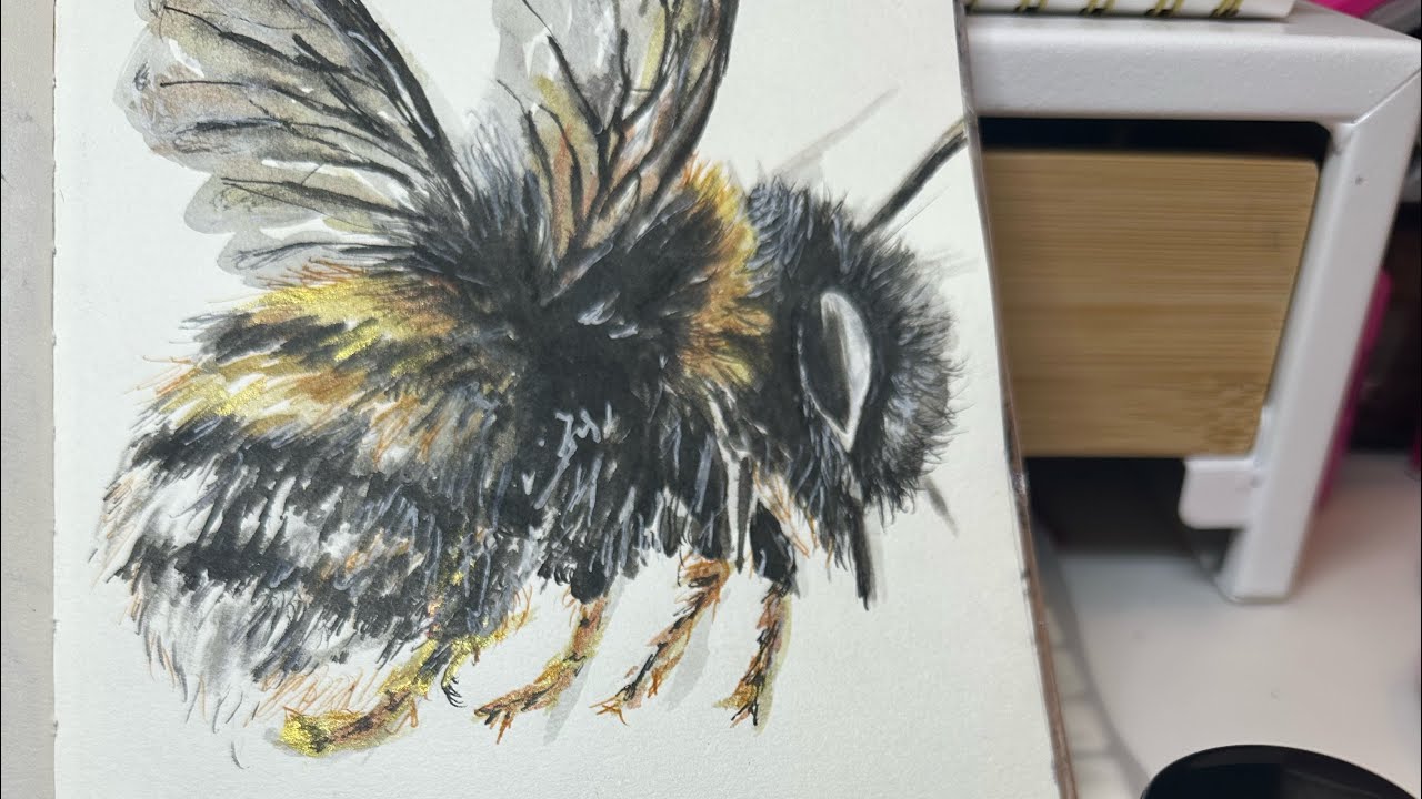 Angela Zanolari is live!