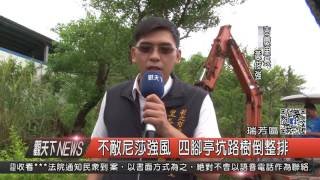 1060731觀天下新聞HD06 瑞芳區不敵尼莎強風 四腳亭坑路樹倒整排