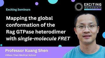 Mapping the global conformation of the Rag GTPase heterodimer with smFRET | Exciting Seminars