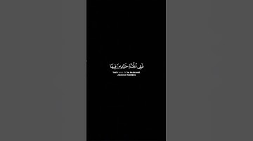 #قران_كريم #اكسبلور #القرآن_الكريم #راحة_نفسية #المصحف #تلاوة_خاشعة #لايك #الرحمن #قرآن