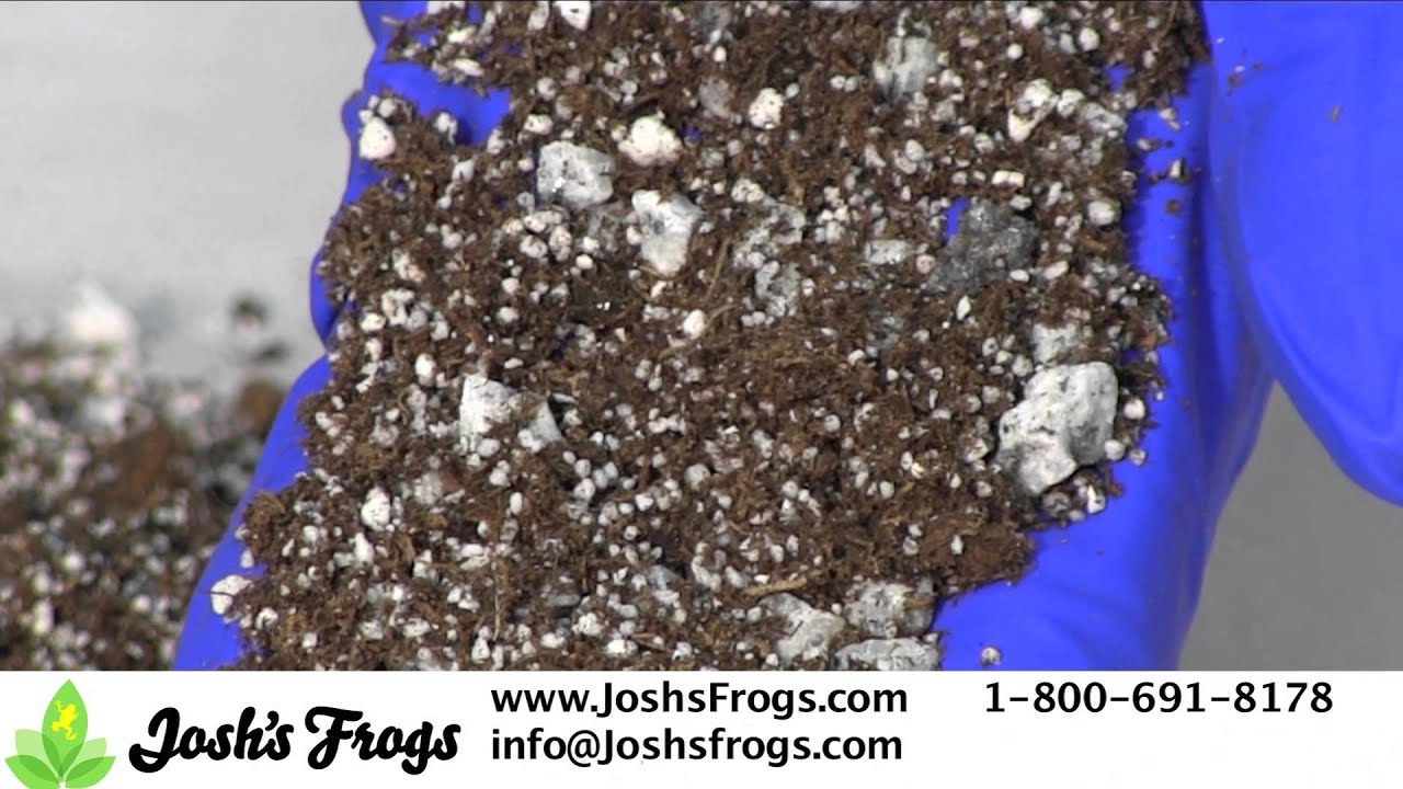 Josh's Frogs Succulent Soil for Container and Fairy Gardens