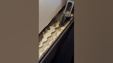 Clean your planes @united. Sheesh.. GROSS