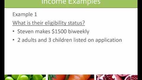 Applications and Direct Certification for the NSLP