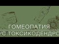 Рус токсикодендрон