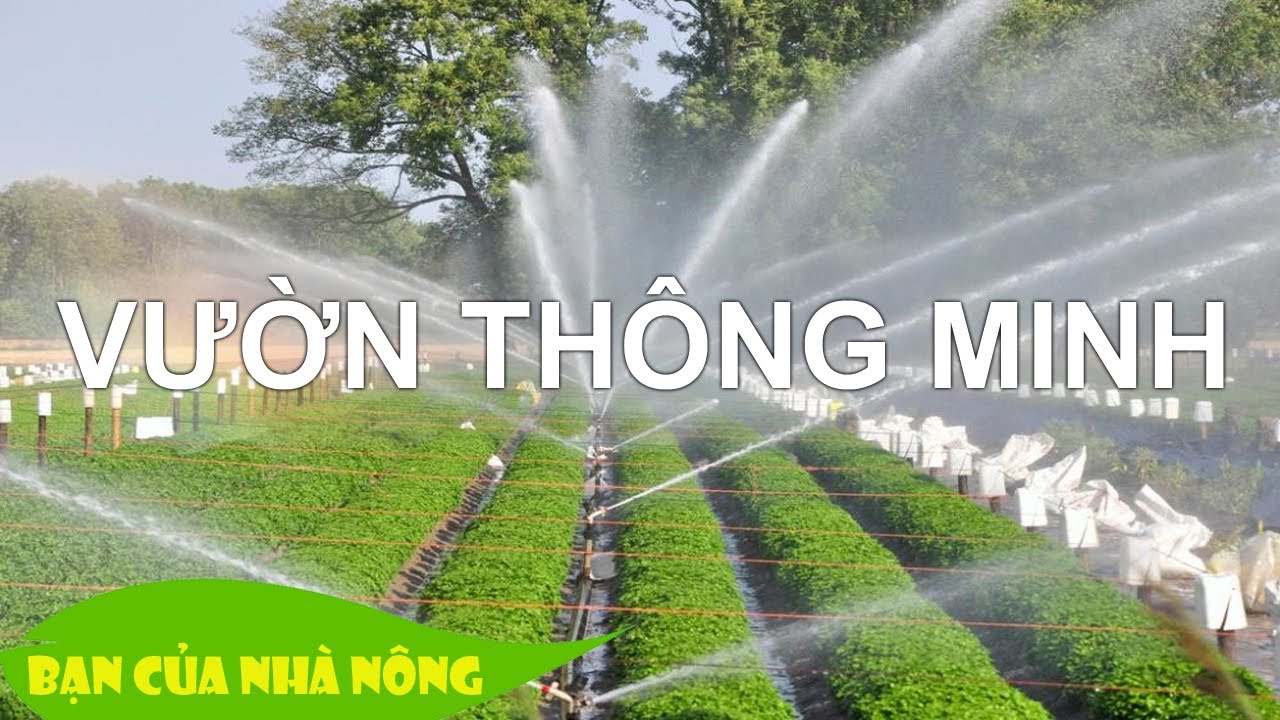 Xây dựng mô hình khu vườn thông minh - Hướng đi mới cho nông dân ...