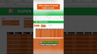 Filtra Datos en Excel como un PRO
