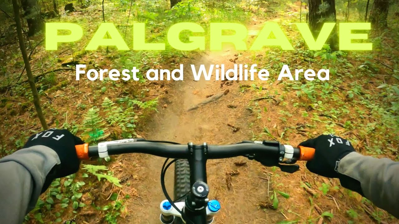 Mountain Biking Palgrave Forest and Wildlife Area - YouTube