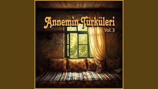 Pınara Varmadın Mı Gül Koydum Almadın Mı