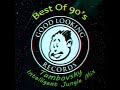 Good looking records  best of 90s tambovsky intelligent jungle mix