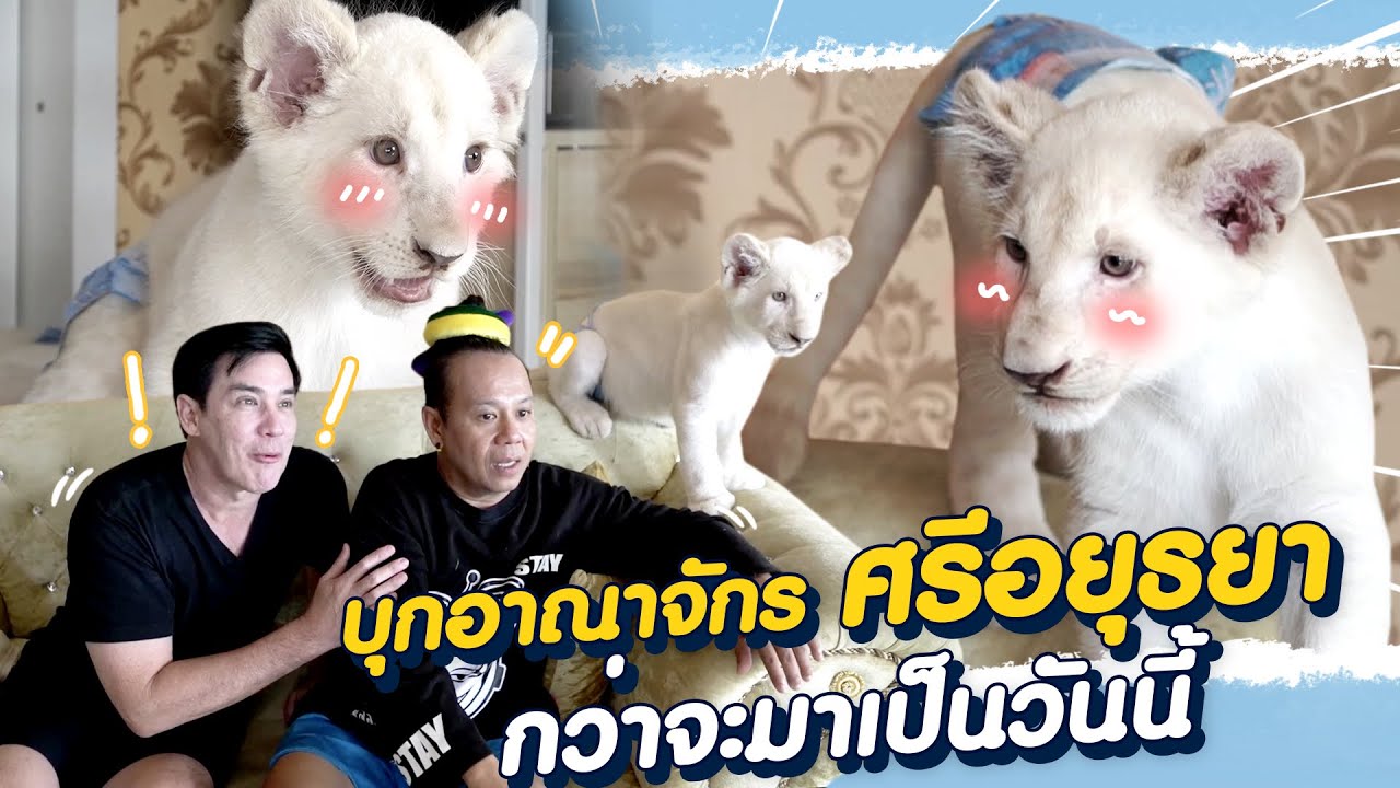 วันแรกของการเริ่มต้น ศรีอยุธยาไลอ้อนปาร์ค (Rerun)