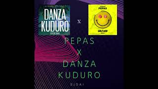 Pepas X Danza Kuduro Mashup