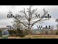 Morton in Marsh and Stow-in-the-Wold - February 2024