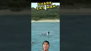 Shark Eat Man #shorts #shortsvideo #viral #shark Resimi