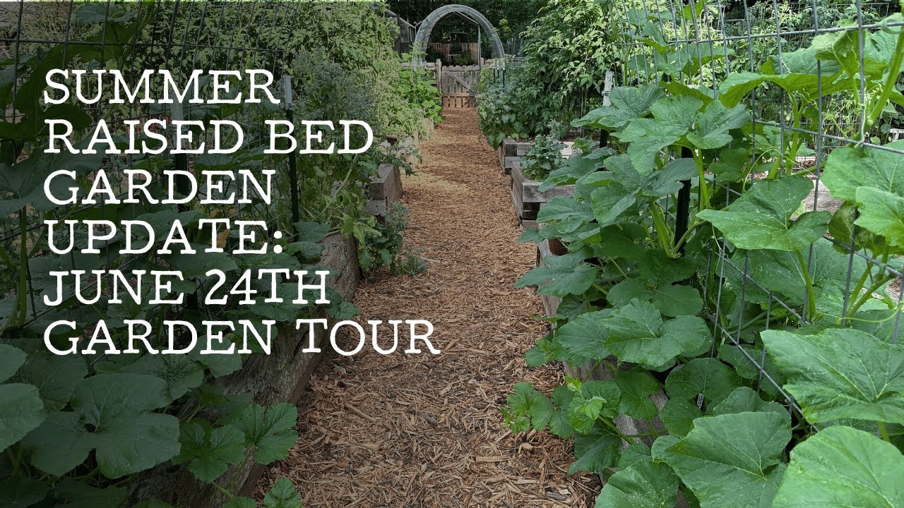 June 24th Garden Tour: Summer Raised Beds Update