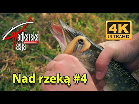 Nad rzeką odc. 04 | #Wędkarska Pasja 4K