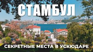 видео: 🇹🇷 Почему Ускюдар - лучший район для прогулок в Стамбуле? Где САМЫЕ ЛУЧШИЕ локации для фото и видео? картинка: 🇹🇷 Почему Ускюдар - лучший район для прогулок в Стамбуле? Где САМЫЕ ЛУЧШИЕ локации для фото и видео?