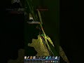 29 Spriest takes on 3 in STV #tbcclassic #pvp #wow #worldpvp