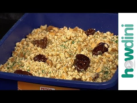 Halloween cake decorating: How to make a kitty litter cake recipe
