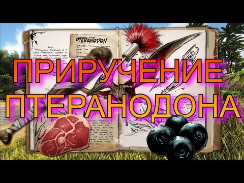 Видео: ARK ПТЕРАНОДОН ПРИРУЧЕНИЕ