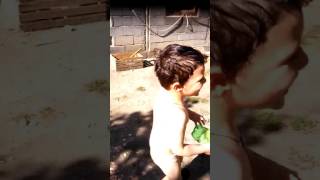 Mamikos Dasdeven Kudrachebi