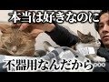 ツンとデレを一生繰り返す不仲ネッコに家主の情緒がイカれてしまう