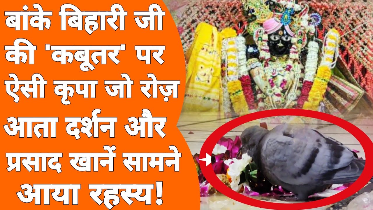 Vrindavan Banke Bihari जी की ऐसी लीला जिसे देख सब चकित! Radha