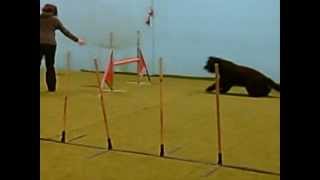 Ruuti2021022012_0001.wmv