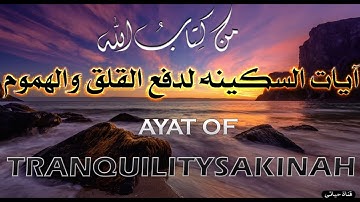 آيات السكينة لدفع القلق والهموم  AYAT OF TRANQUILITY  SAKINAH ❤️ألقارئ أحمد النفيس❤️