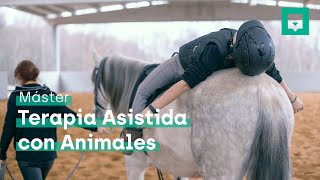 Especialízate con el Máster en Terapia Asistida con Animales | Nubika Especialízate con el Máster en Terapia Asistida con Animales | Nubika