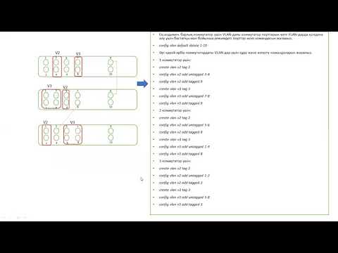 Бейне: Коммутатордағы барлық порттар үшін әдепкі параметр қандай?