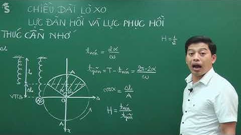 Chiều dài lò xo – Lực đàn hồi   Lực phục hồi (Lý thuyết-Các ví dụ)