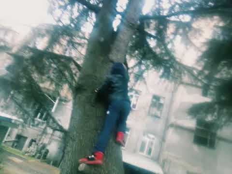 ხეზე ასვლა