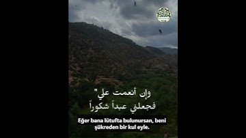 018: Allah'ım, Amin اللهم أمين       #nuralsalam #miqat01#mehmet #المصحف  #القارئ #اكسبلور