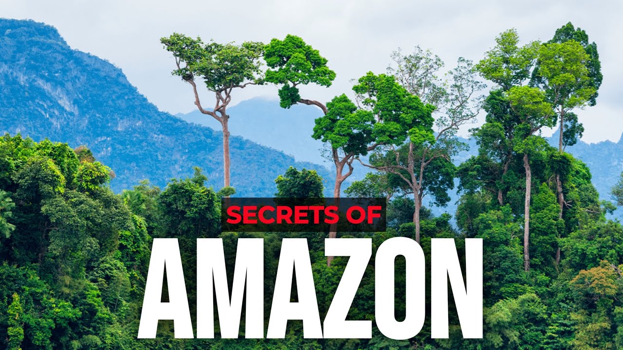 Mind Blowing Facts About the Amazon Rainforest You Didn’t Know!