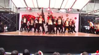 Revolve 2016矢上祭 Waack