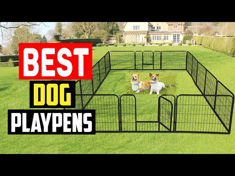 Video: Beste Dog Playpens og treningspenner for innendørs og utendørs