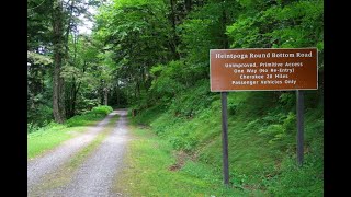 Heintooga Bottom Rd  July 17, 2021