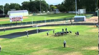 2014 ICFL Championship, Tribe vs. Stags