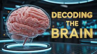 The Breakthrough Brain Mapping Project That Took Years to Complete