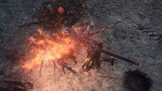 Soul of Cinder - Rare Spear Tackle Attack