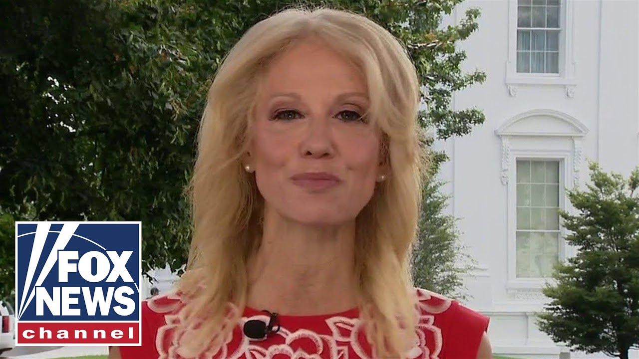Kellyanne Conway reacts to Kamala Harris chosen as Biden's VP