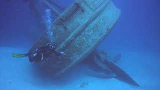 Kittiwake Dive
