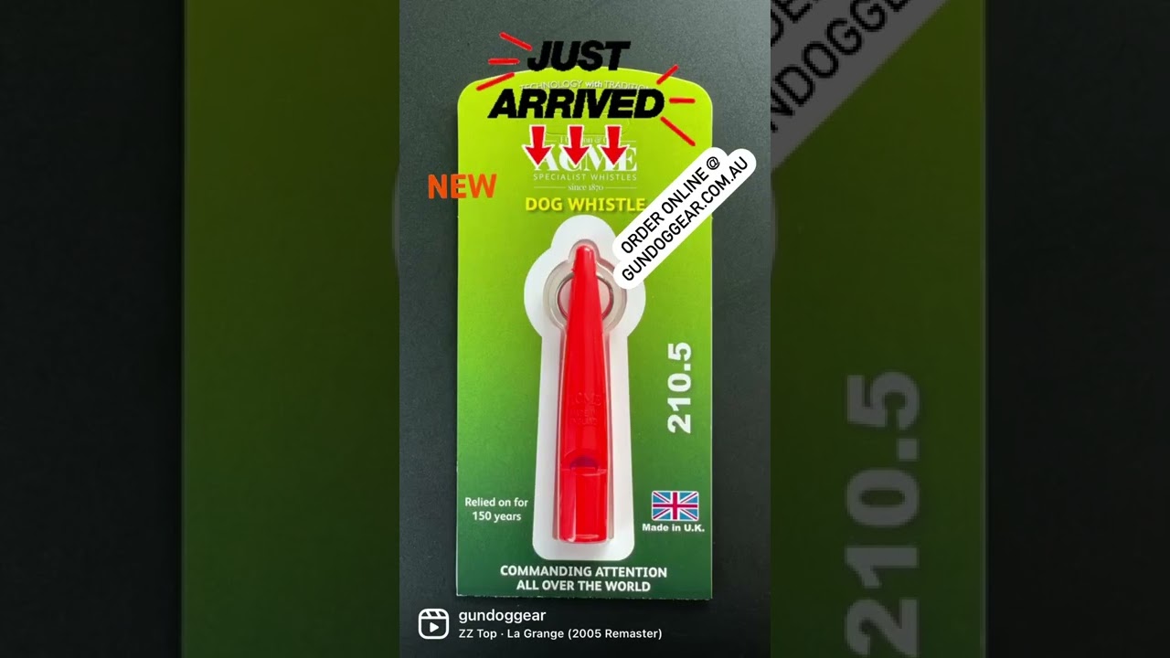 Gundog Training | Acme Dog Training Whistles | Retriever, Pointer, Bird Dog, Hunting Dog 