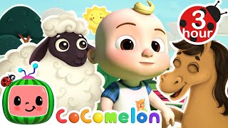 Old MacDonald (Farm Animal Sing Along) | Cocomelon  Nursery Rhymes | Fun Cartoons For Kids